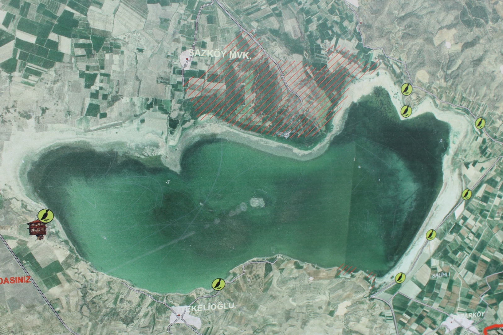 Marmara (5)-1