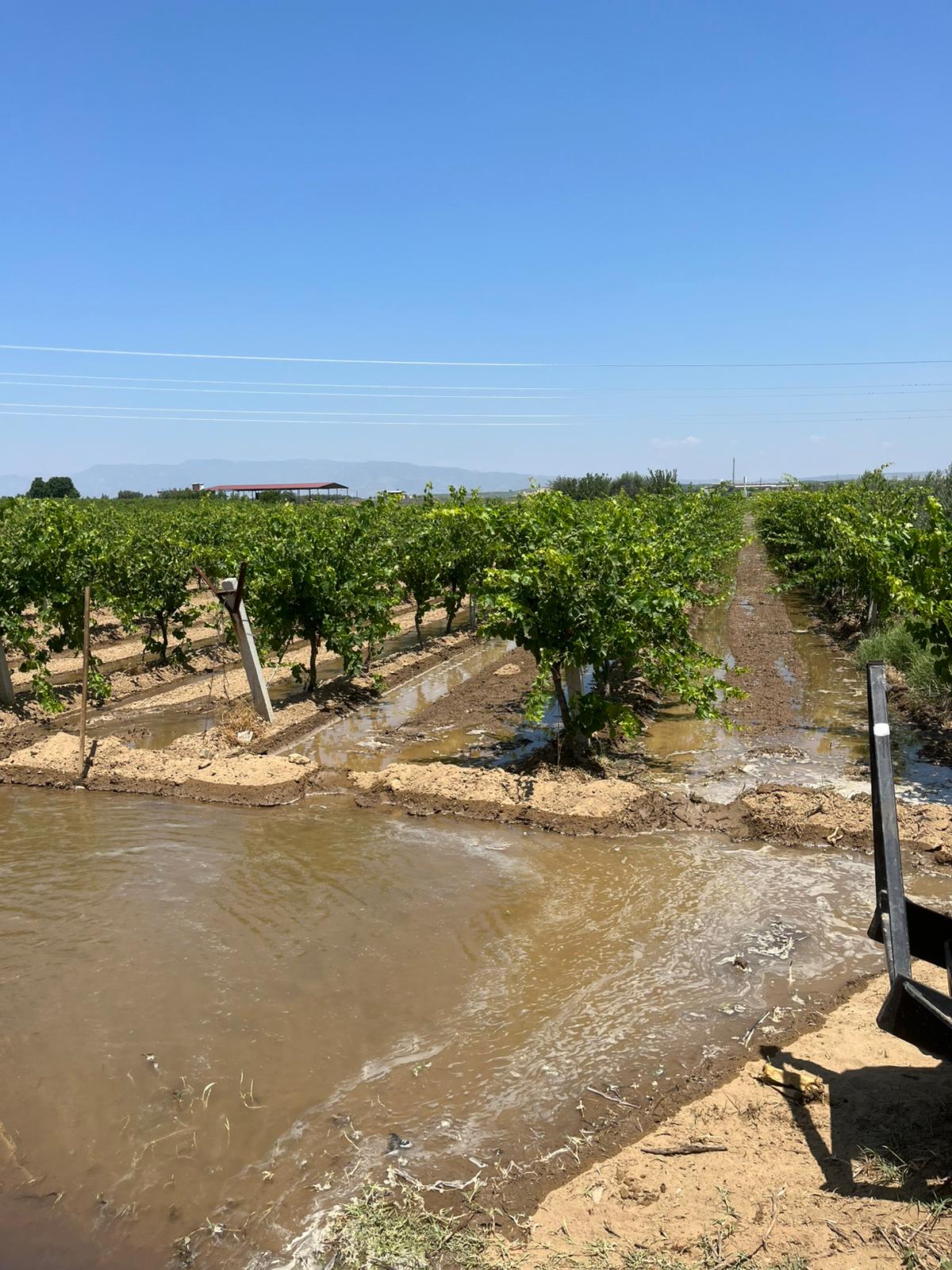 Tarimsal Sulama (3)-1