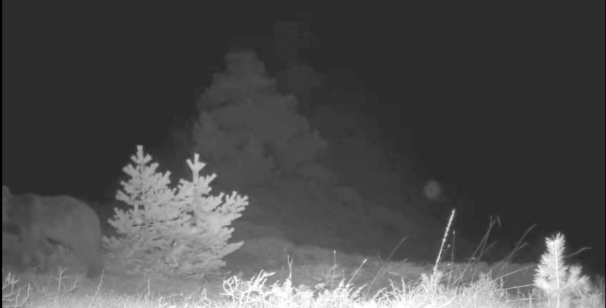 Whatsapp Image 2025 06 20 At 15.44.12