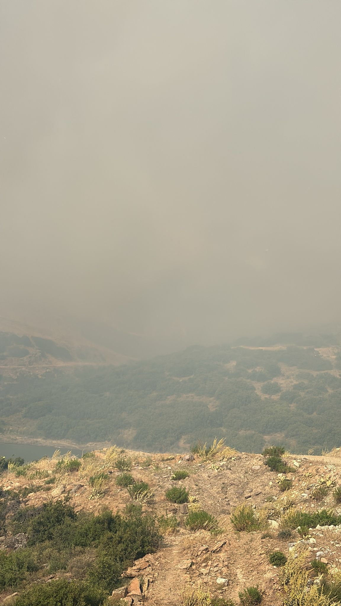 Whatsapp Image 2025 06 28 At 17.39.34