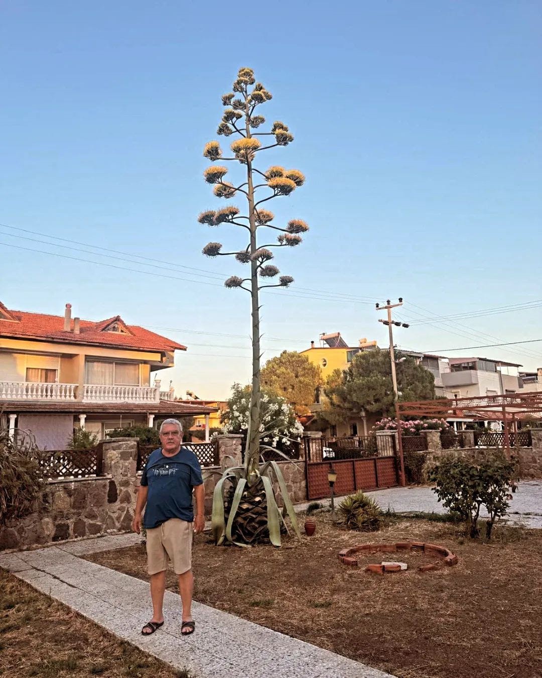 30 Yil Sonra Ilk Kez Cicek Acti