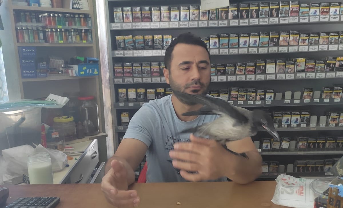 3B4A8F98 D490 42F9 913A F0Ffa3Fcb8Eb