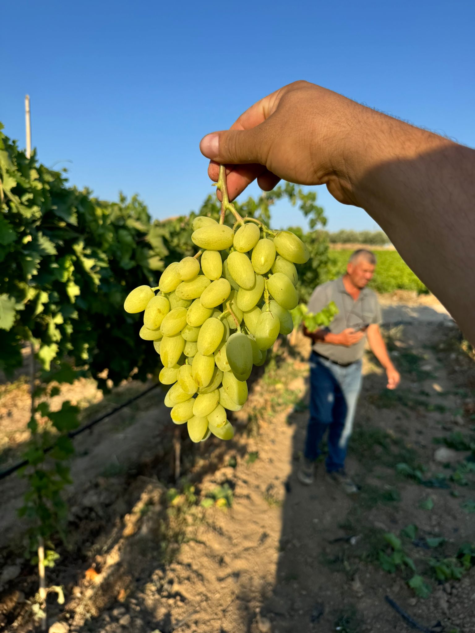 3Cad5F94 90Ab 4621 A604 D52504252082