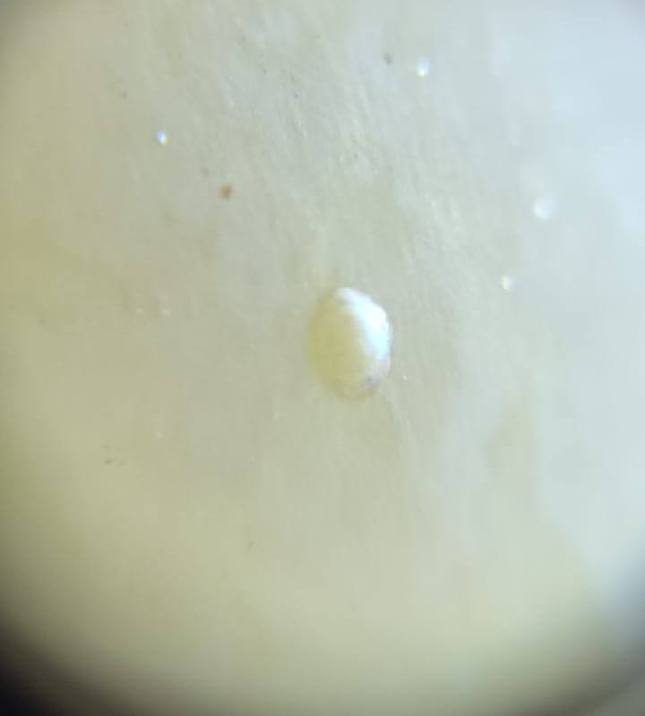 4-592