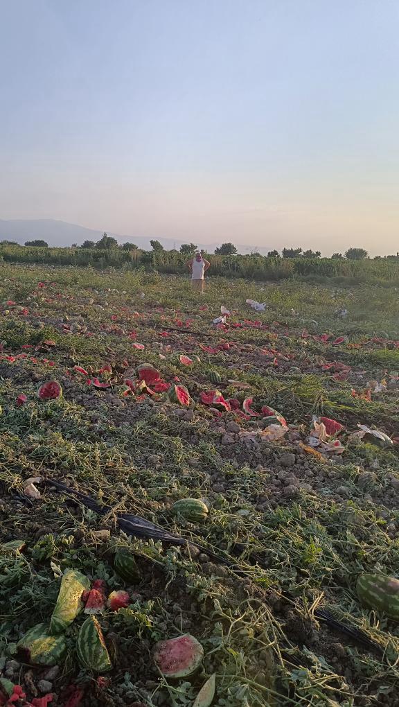 5Ab964F9 B56B 467C 89Fa B40D3Aa6514C