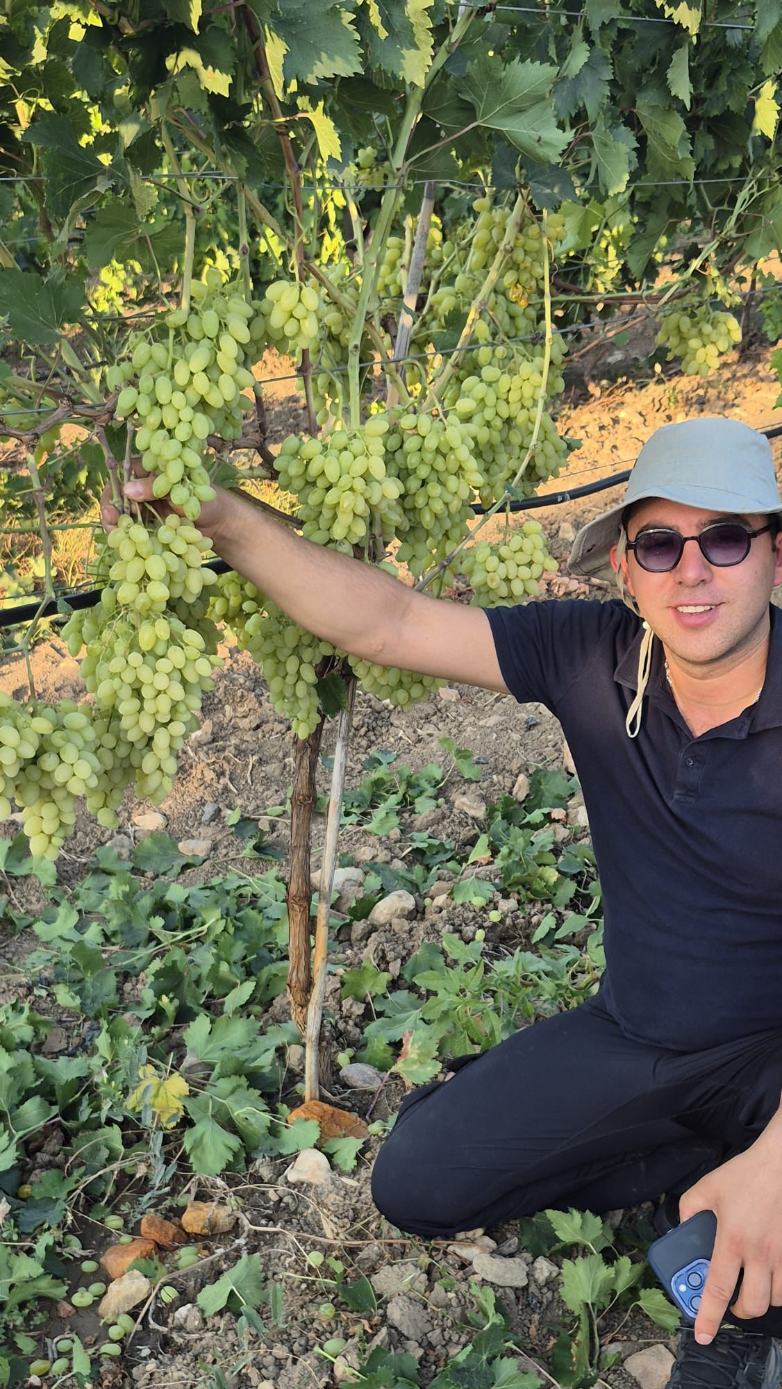 61055424 5Fac 4Eaf Be7F 5Efafc643553