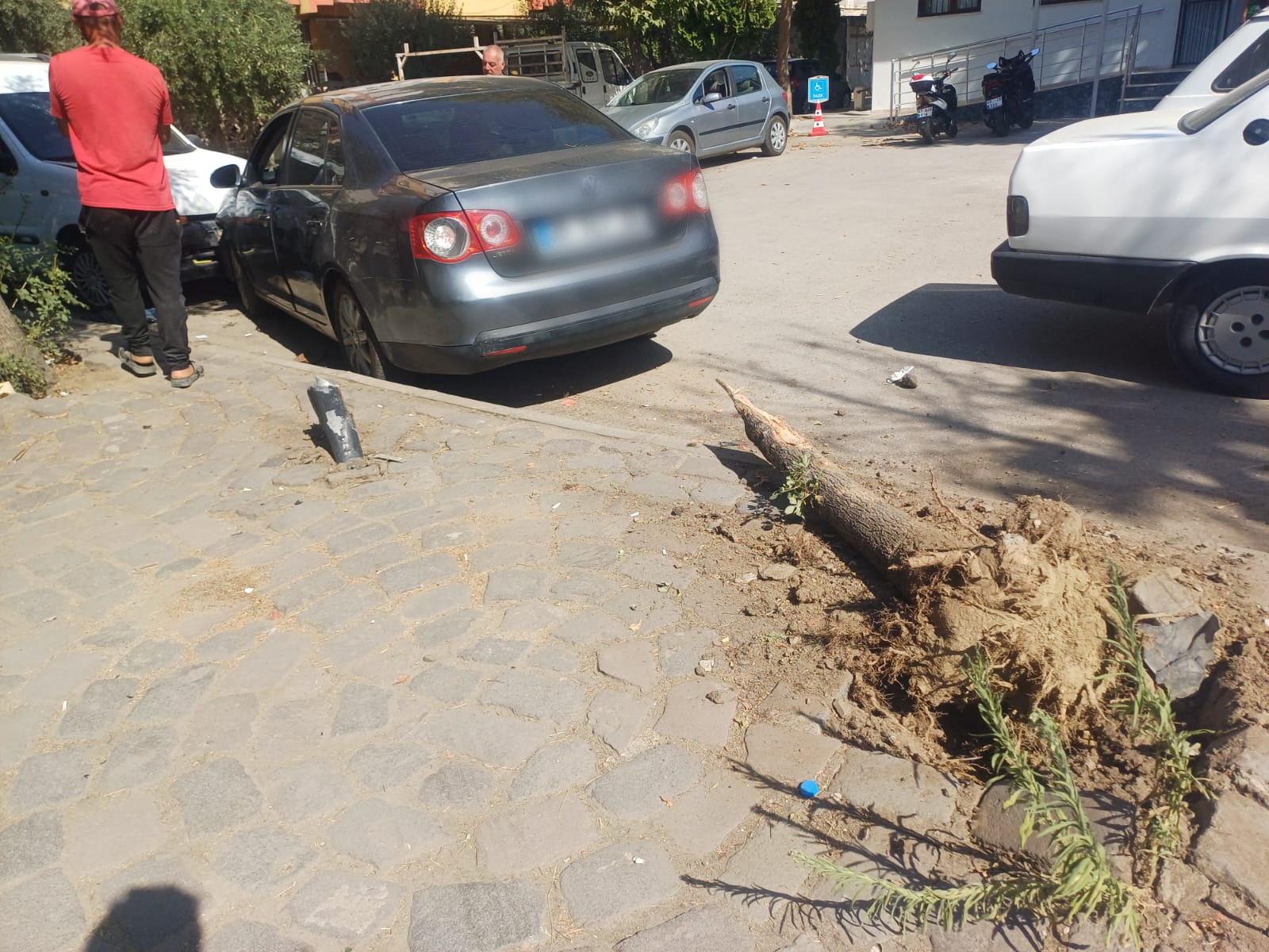 6Ac47Edb 7B8B 4082 Aa1E Bca58A458187