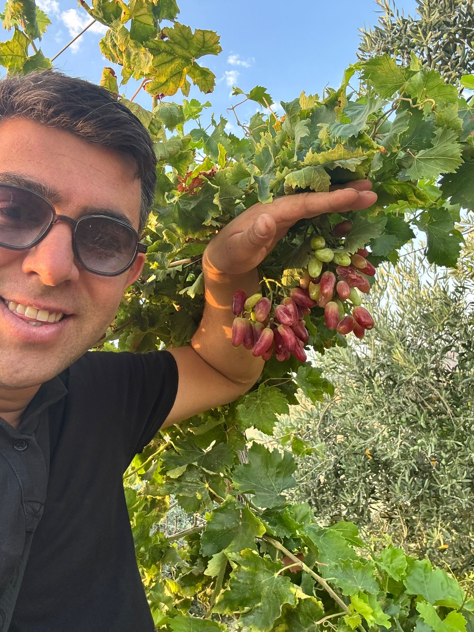 7C4D5Cd6 86Fd 4Bb7 Bc26 4A596Fc767E3