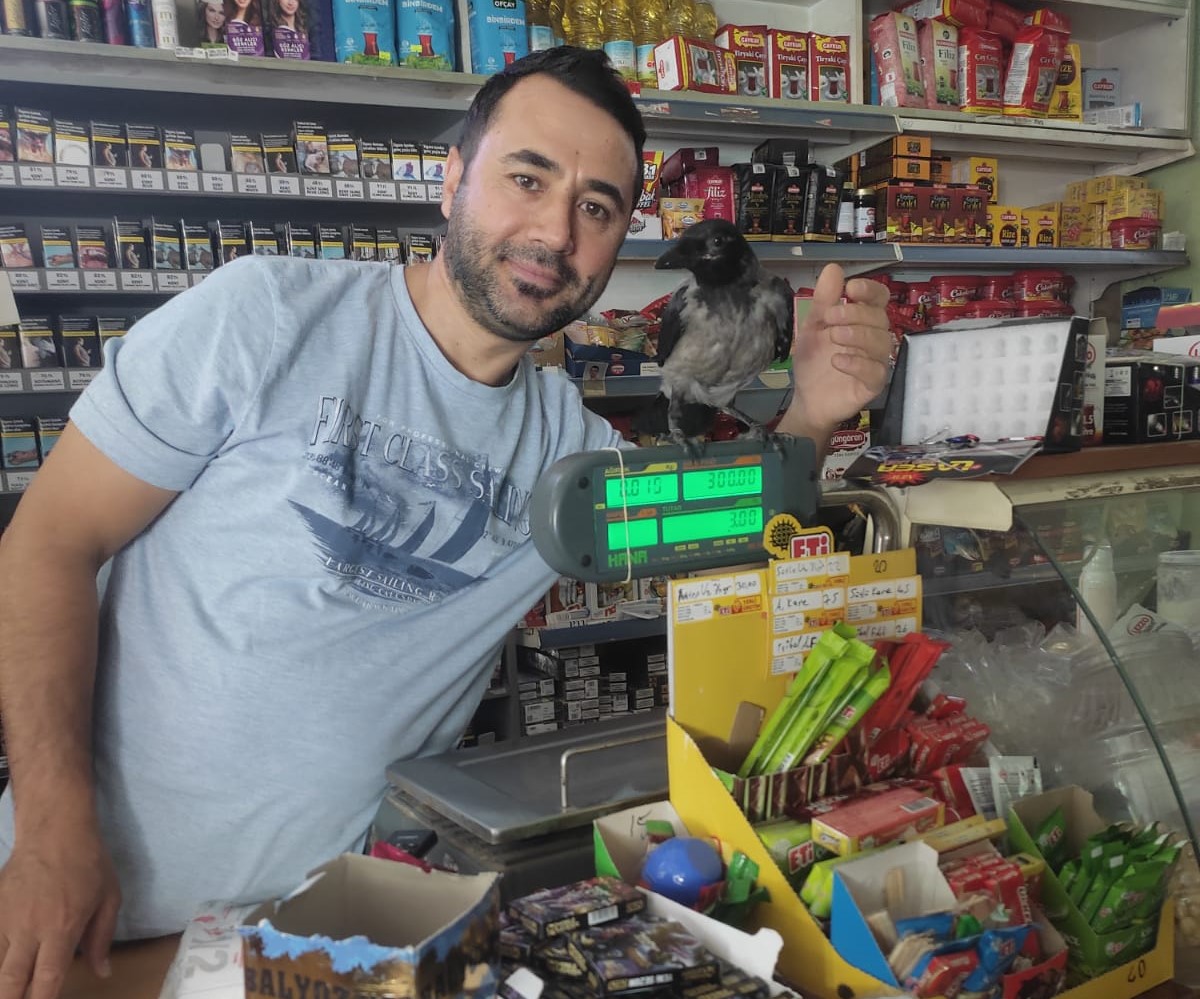 800A22E5 6075 4A1A A4F9 607Bccab4B6B