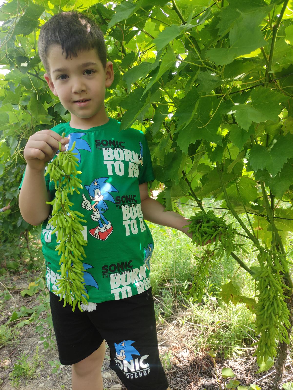 894E969F 9A64 4876 9C26 29D00E2377D8