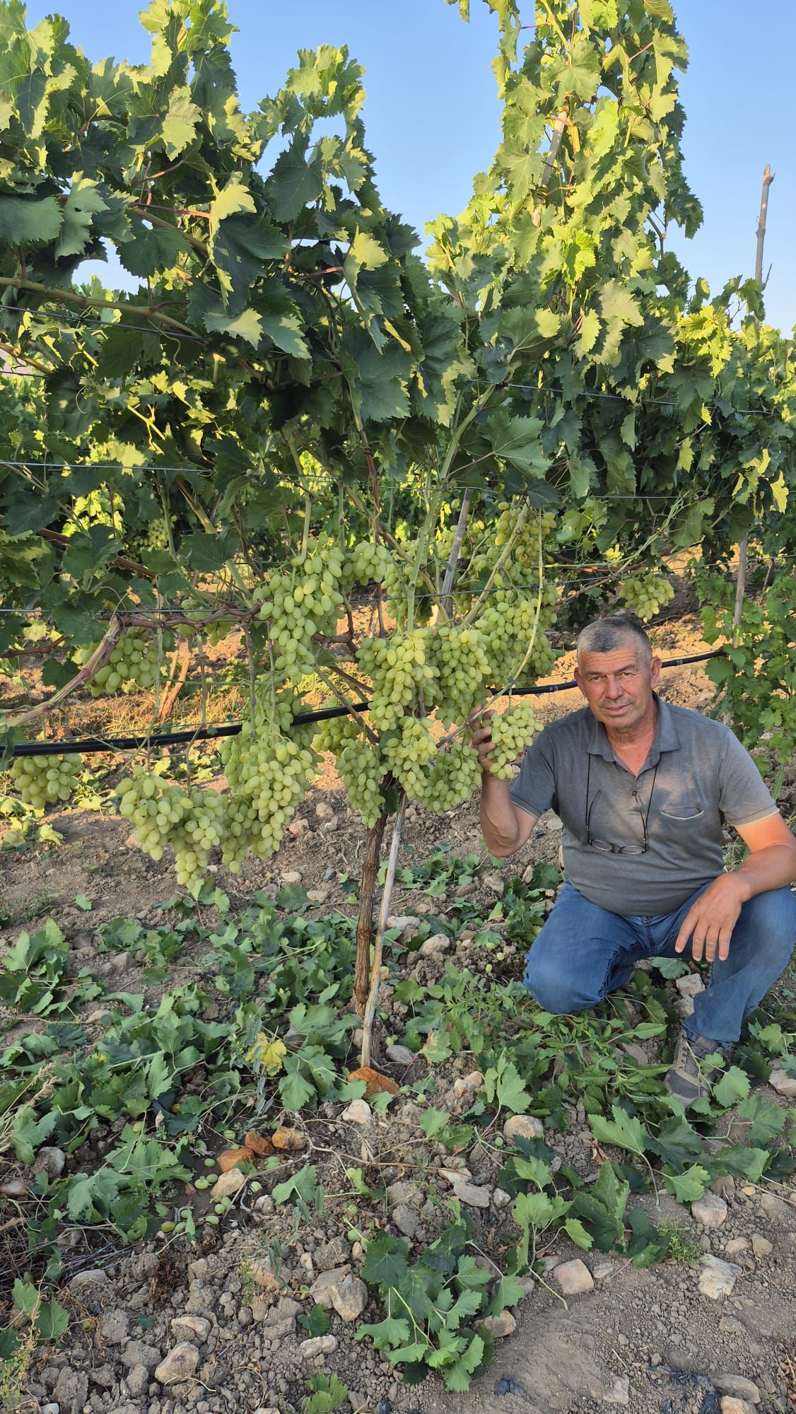 96Fe78B1 4Bd0 4B6A A3Ee 9C939E7E3621