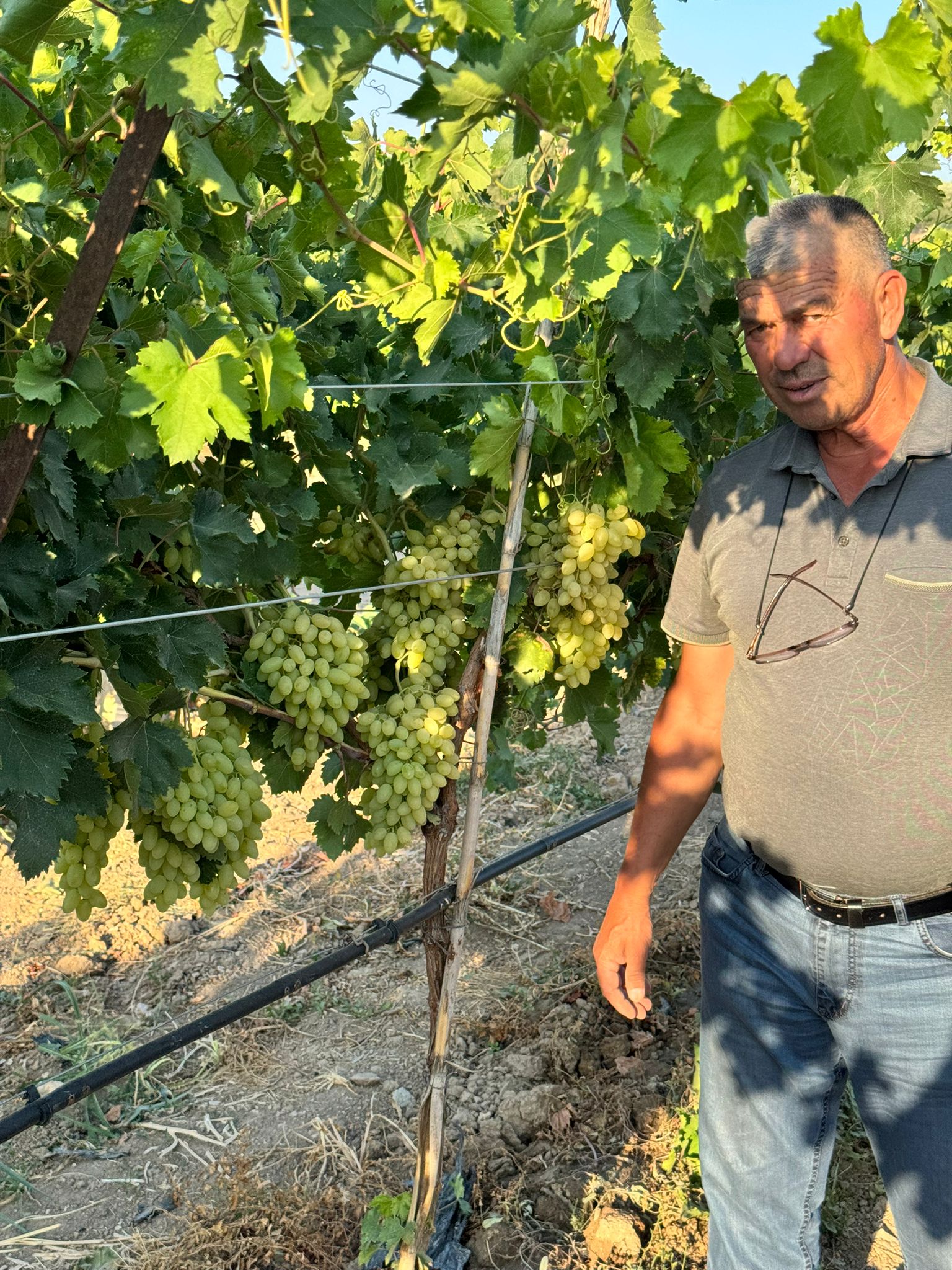 984539Fd Fc85 44A2 Be9F C2A2B2490D6F