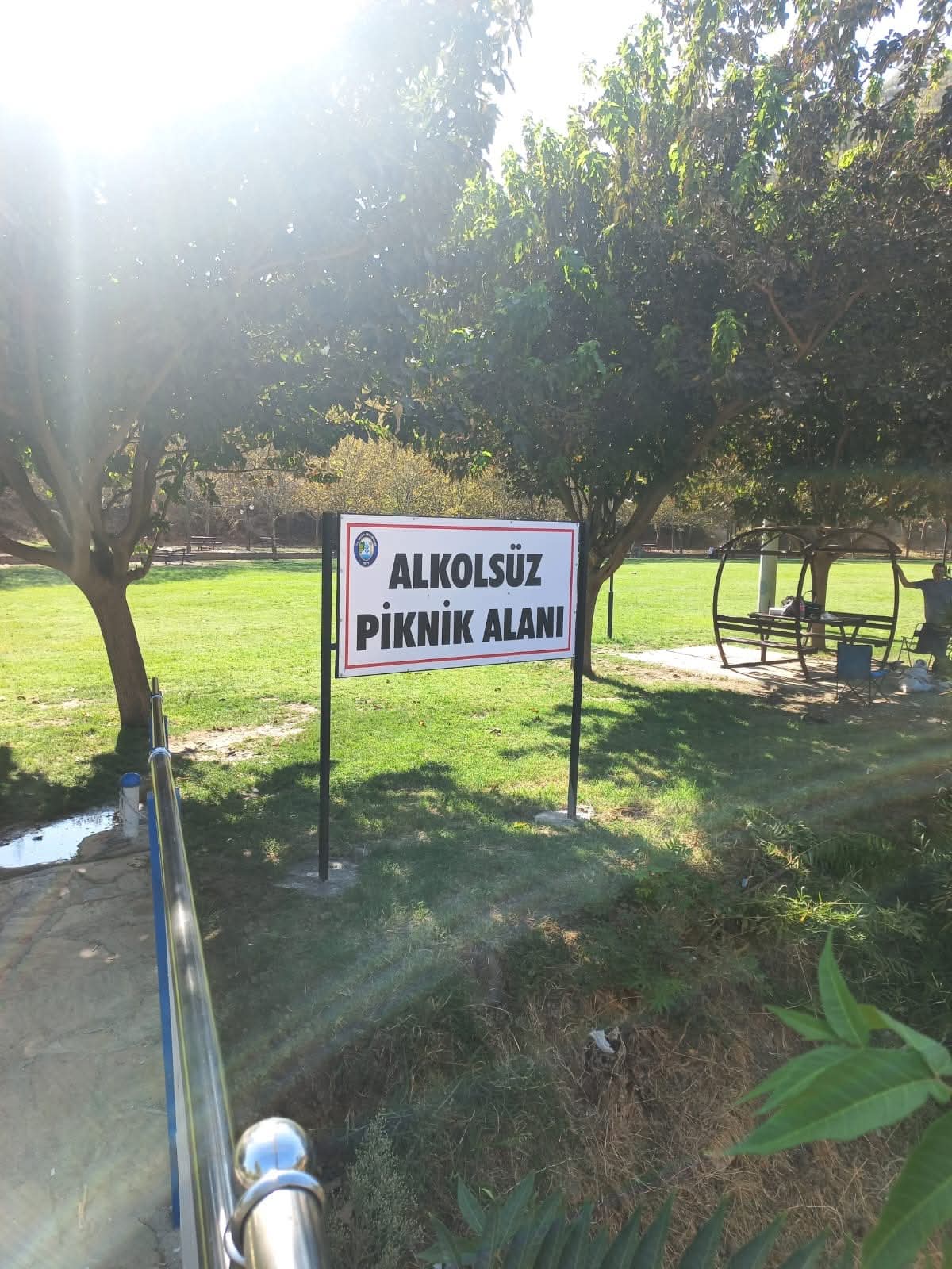 Alkol (3)