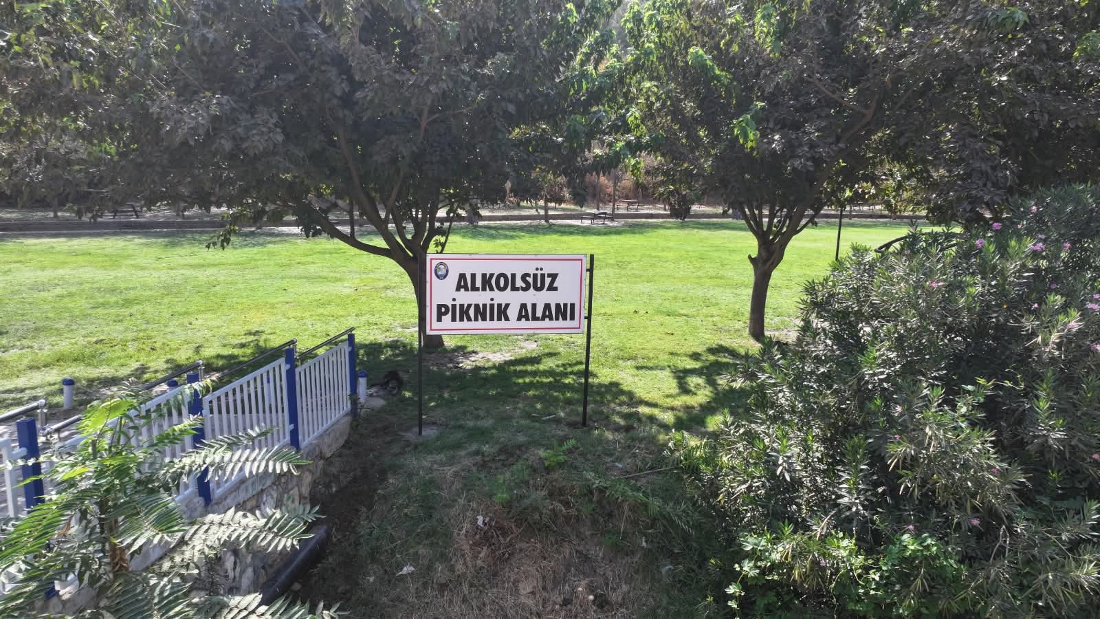 Alkol (4)