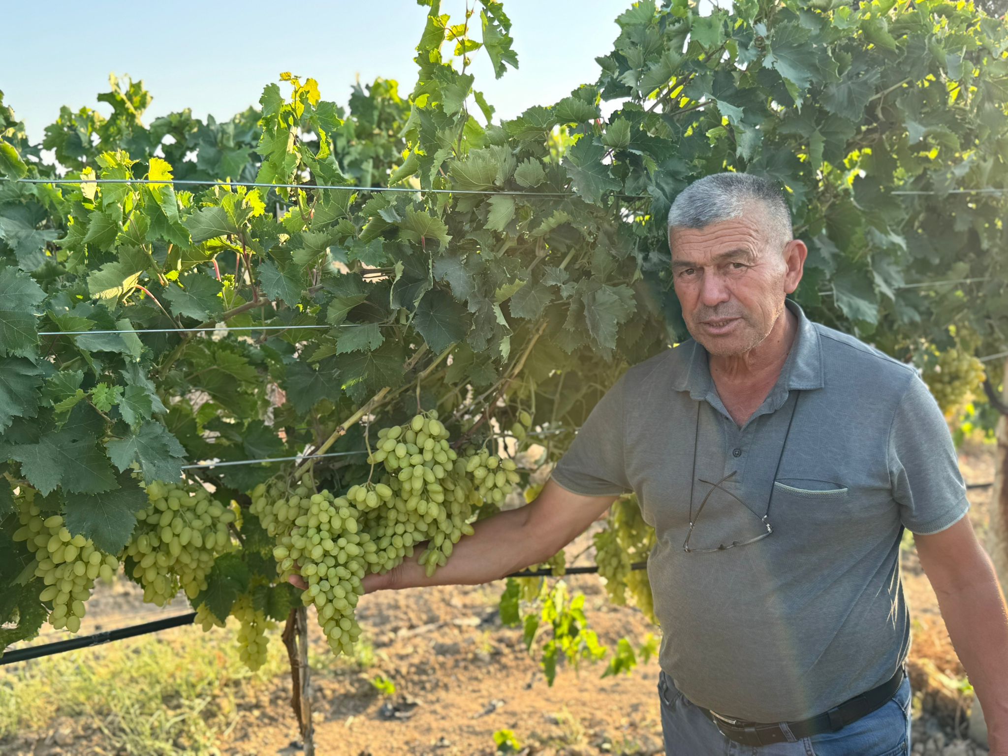 B199114B C159 4032 A832 4D31D8F3263C