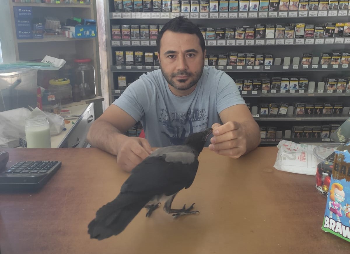 Bfcd0Ed8 1C6C 4215 A47E 0D1C767485Cf