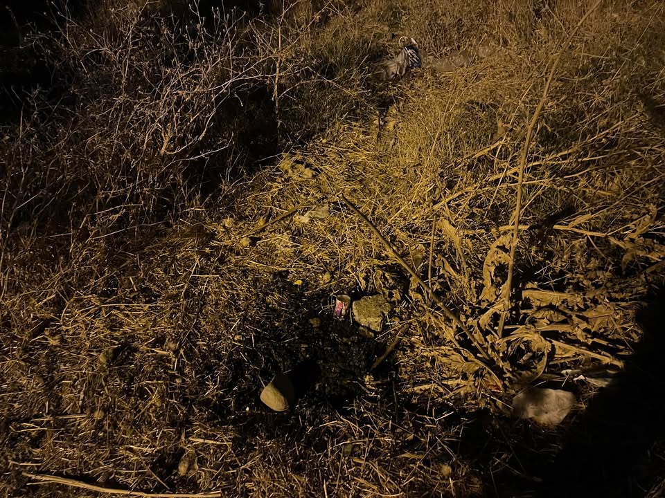 F2De7305 77D2 41Cb 8727 A4081F8D6F5C