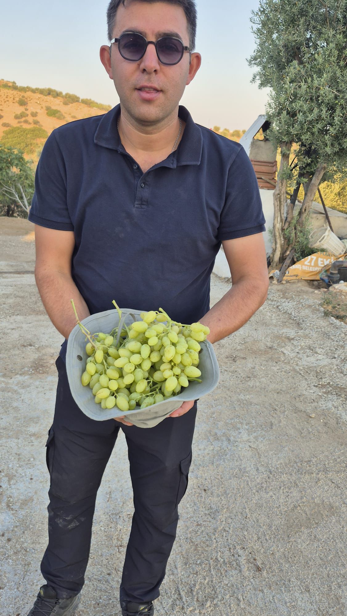 F49E3Ce5 B876 4927 86Bf De35613698F2