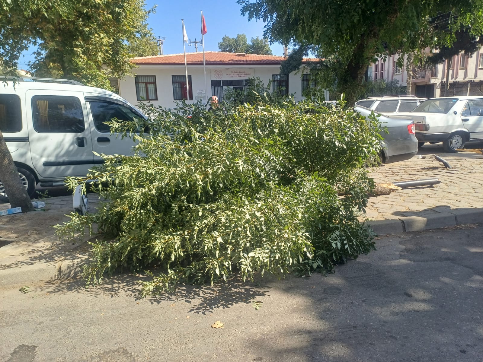 Ffc6893E 6E0E 4658 A043 82798Cab2Cad