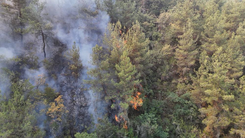 Karabük Yangın (1)-1