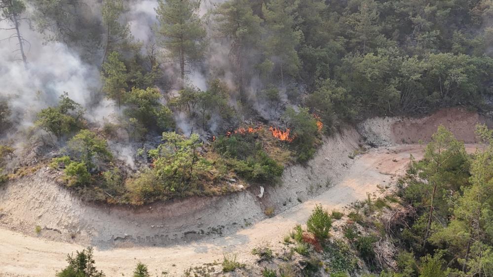 Karabük Yangın (2)
