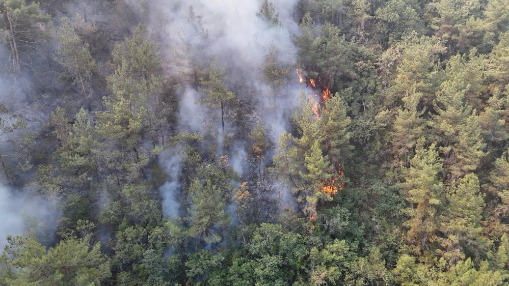 Karabük Yangın (3)