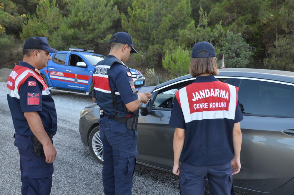 Manisa Ormanlık Alanlar (2)