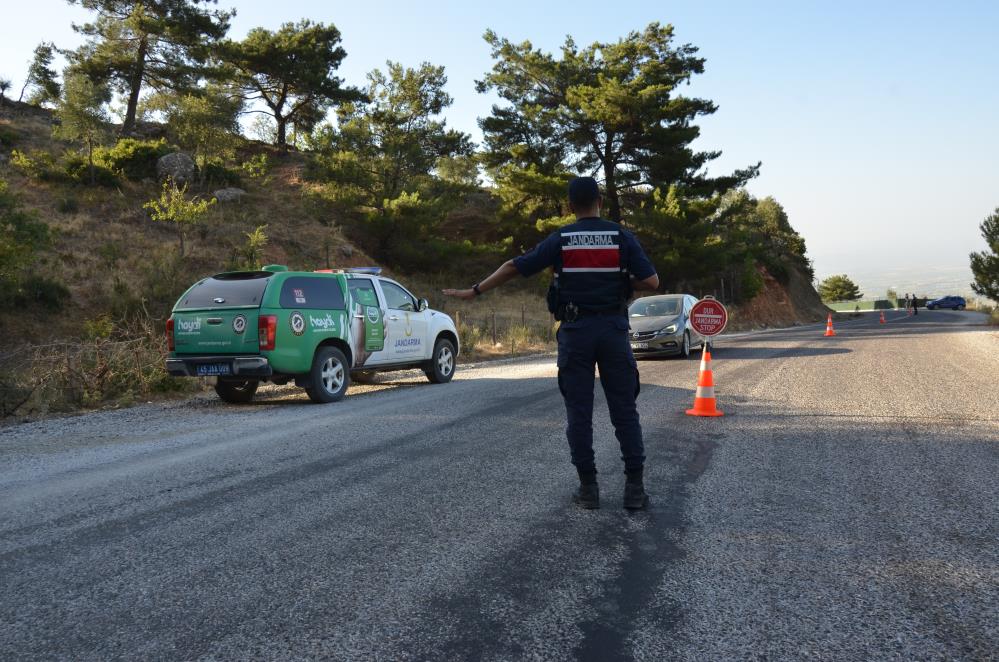 Manisa Ormanlık Alanlar (3)