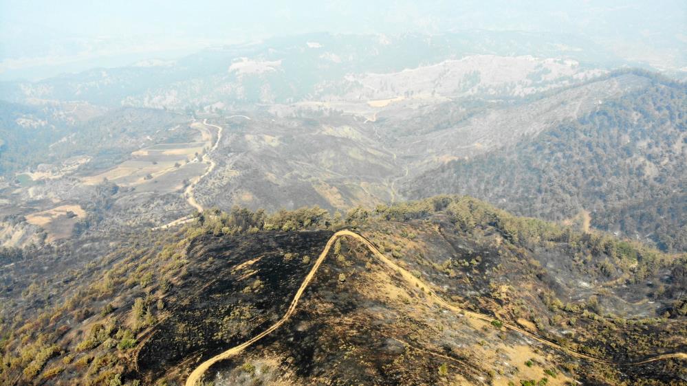 Orman Yangınları Kahramanmaraş (1)