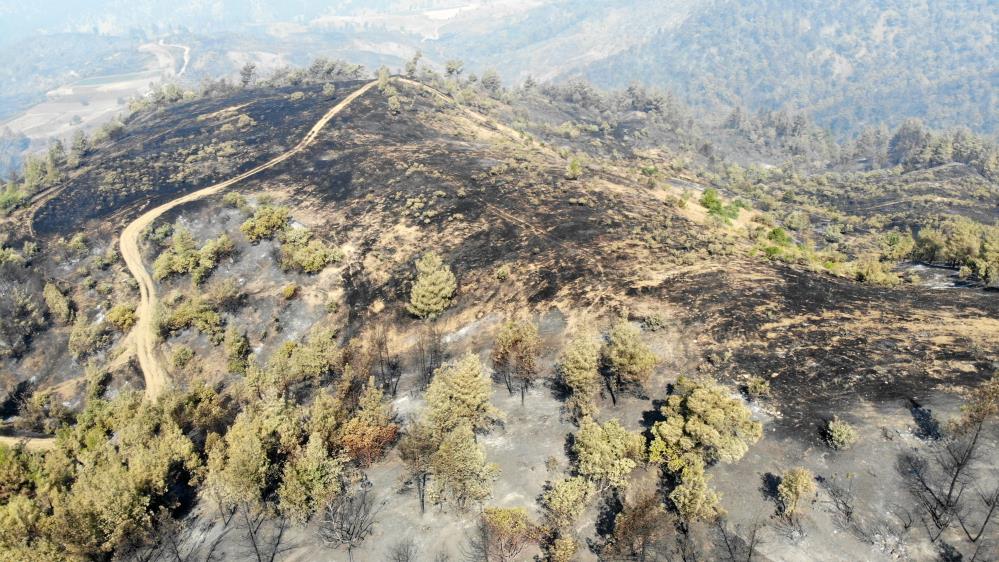 Orman Yangınları Kahramanmaraş (4)