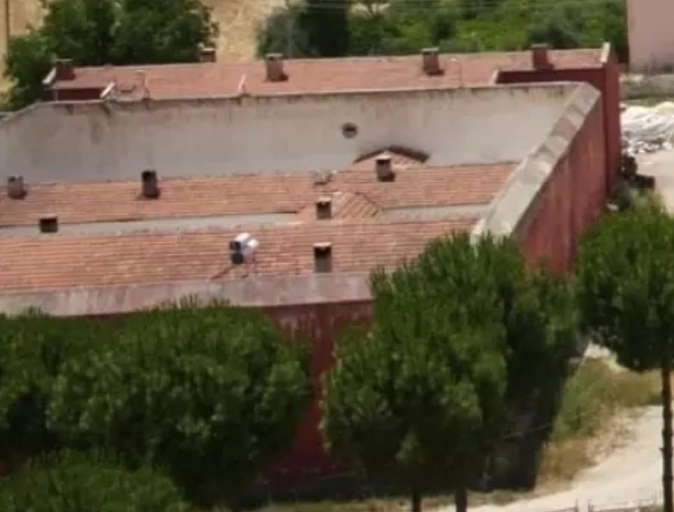 Selendi Millet Bahçesi (1)