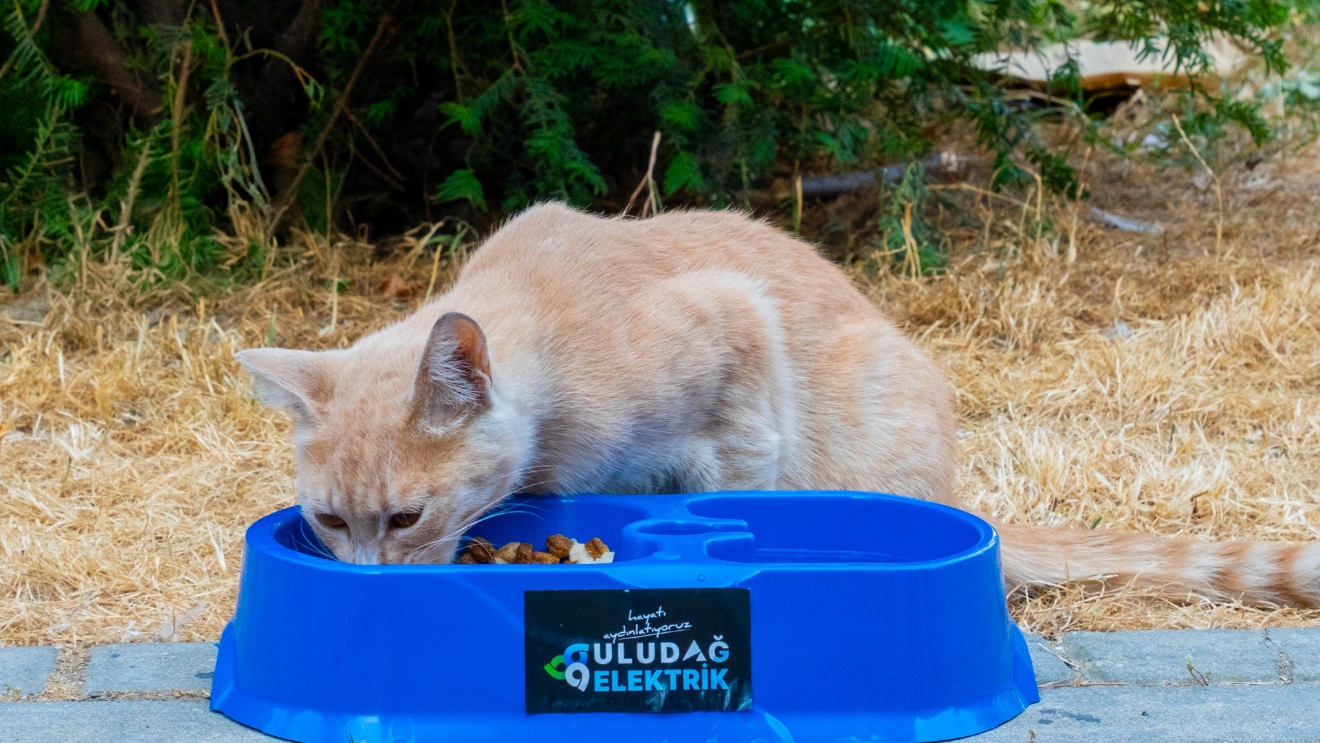 Sevgimiz Enerjimiz Sizinle 498756 01