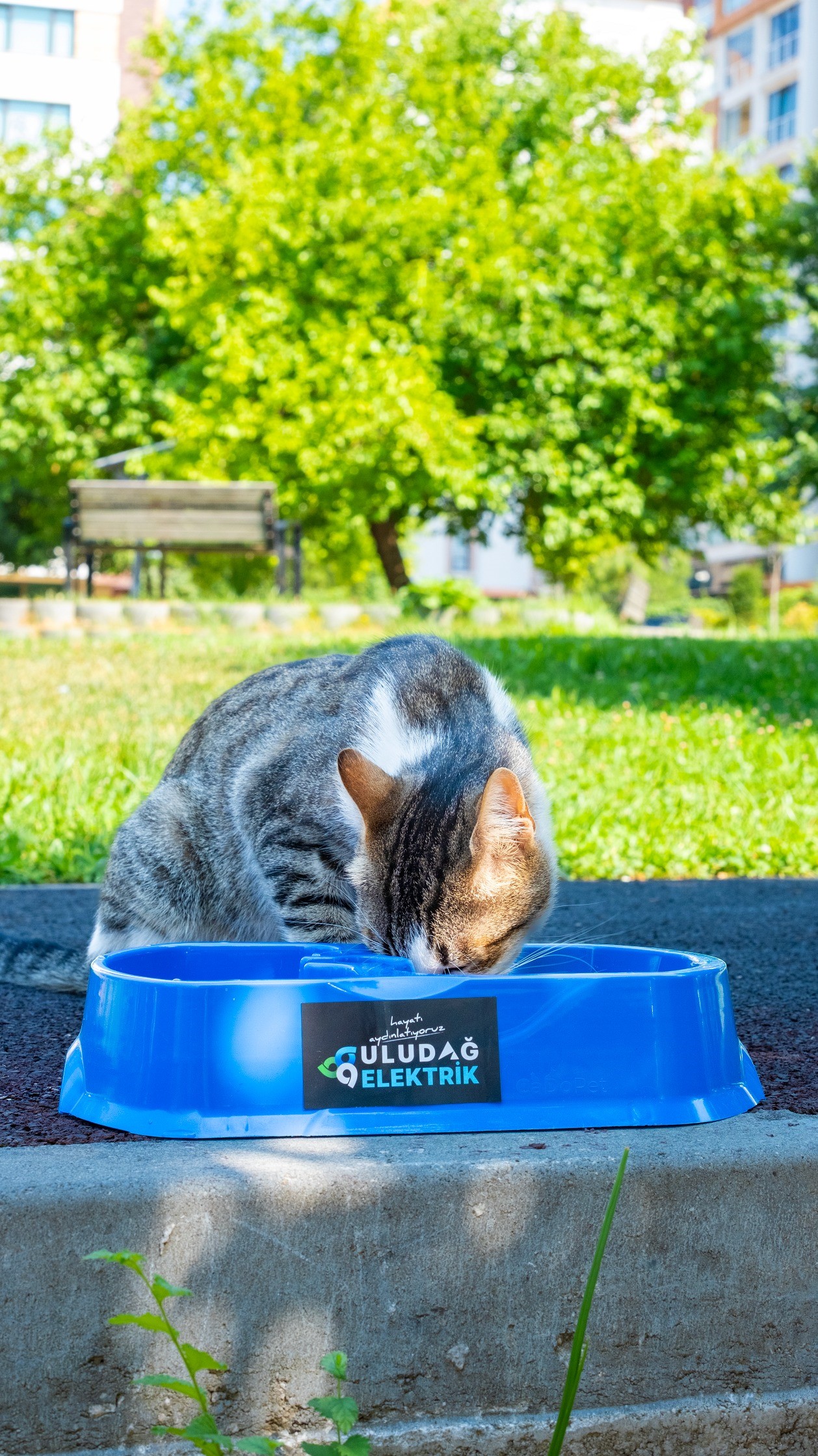 Sevgimiz Enerjimiz Sizinle 498756 03