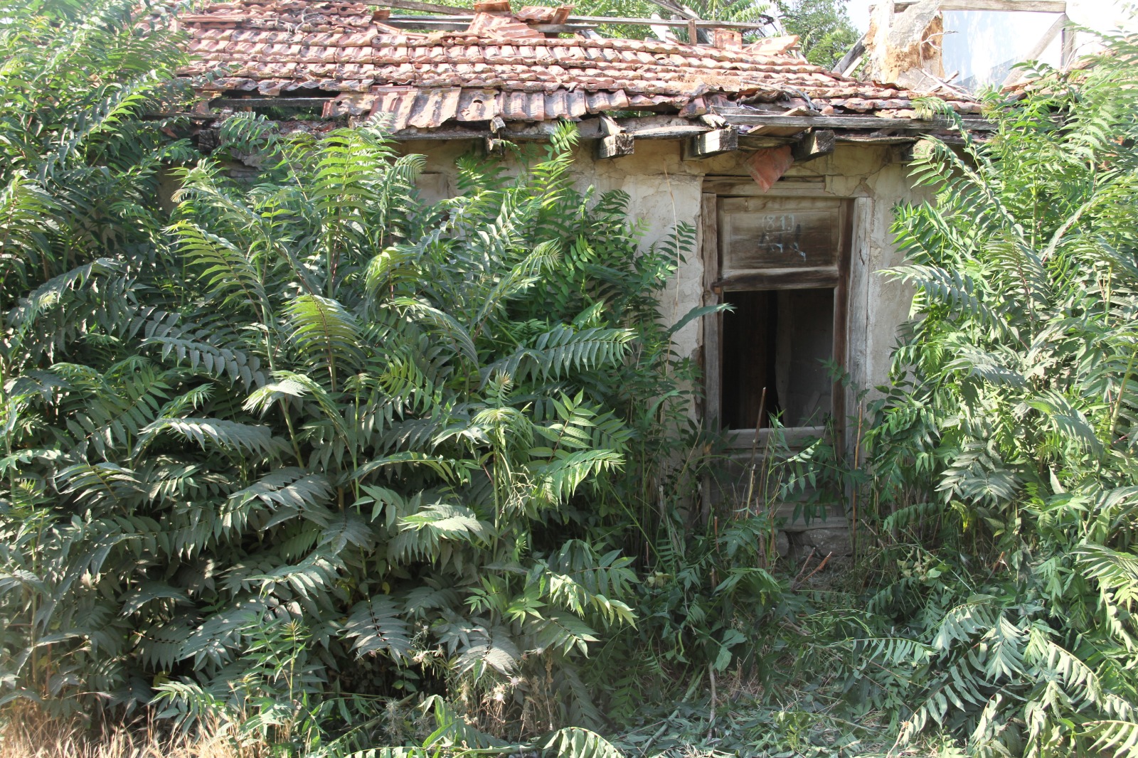 Whatsapp Image 2025 07 19 At 15.48.04 (1)