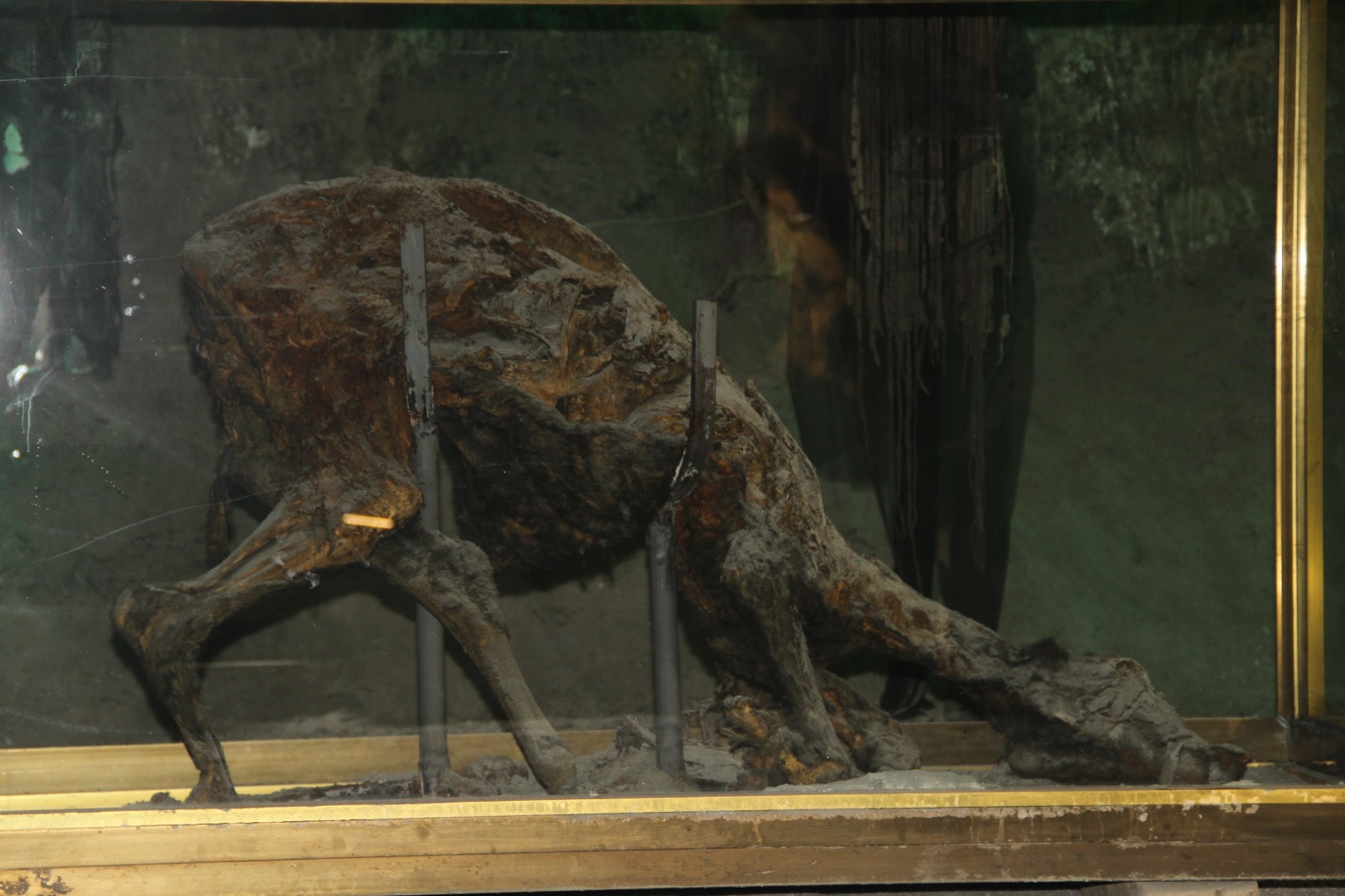 Whatsapp Image 2025 07 19 At 15.48.04 (2)