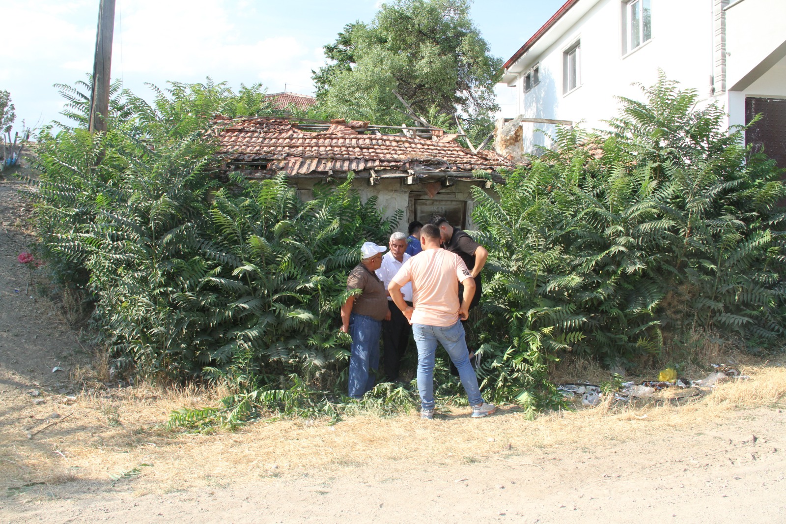 Whatsapp Image 2025 07 19 At 15.48.04 (4)