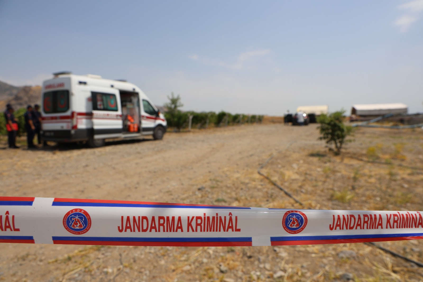 Whatsapp Image 2025 07 28 At 15.14.22