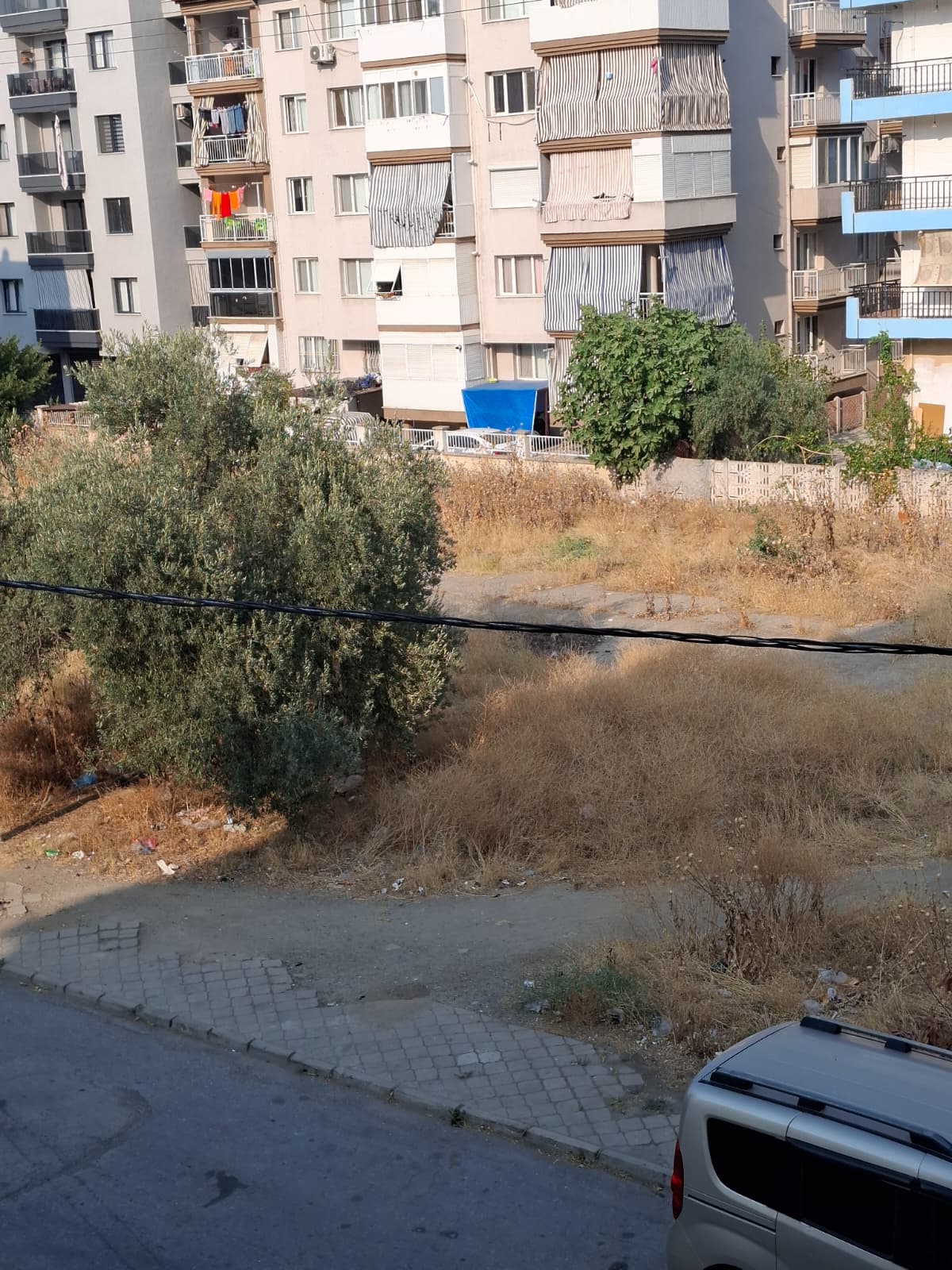 34C22D22 1Afb 45E4 9863 4Ef487Aaafd1