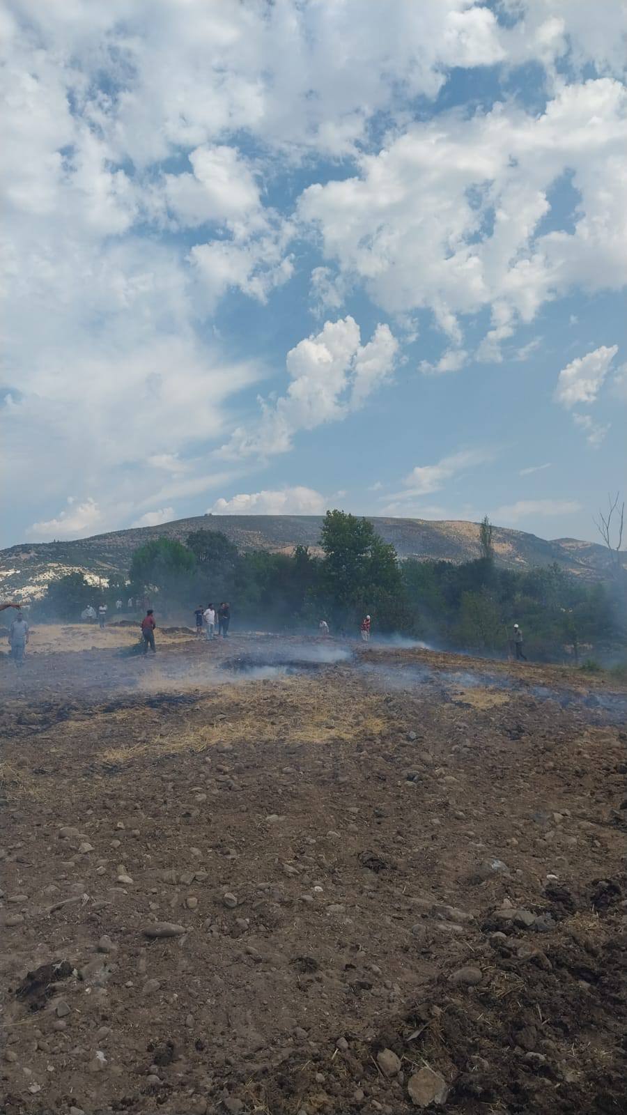 528366228 2132062727204050 5860746615802280494 N