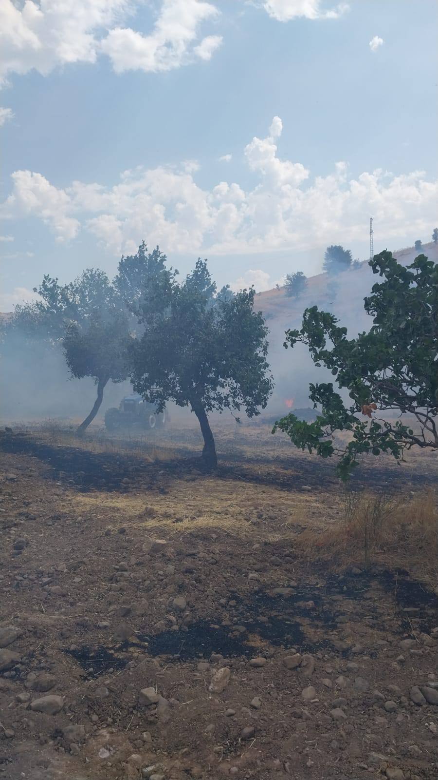 529776883 2132062763870713 6161856068666977171 N