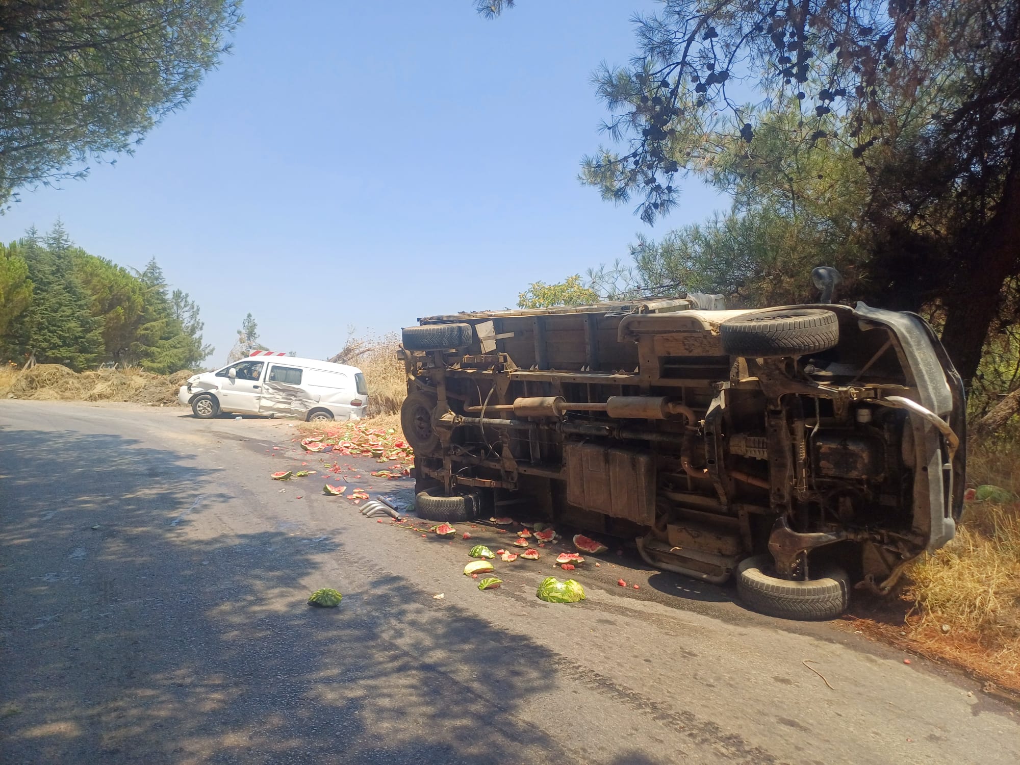 7031C69A D032 43De Bf26 23B12A5D4172