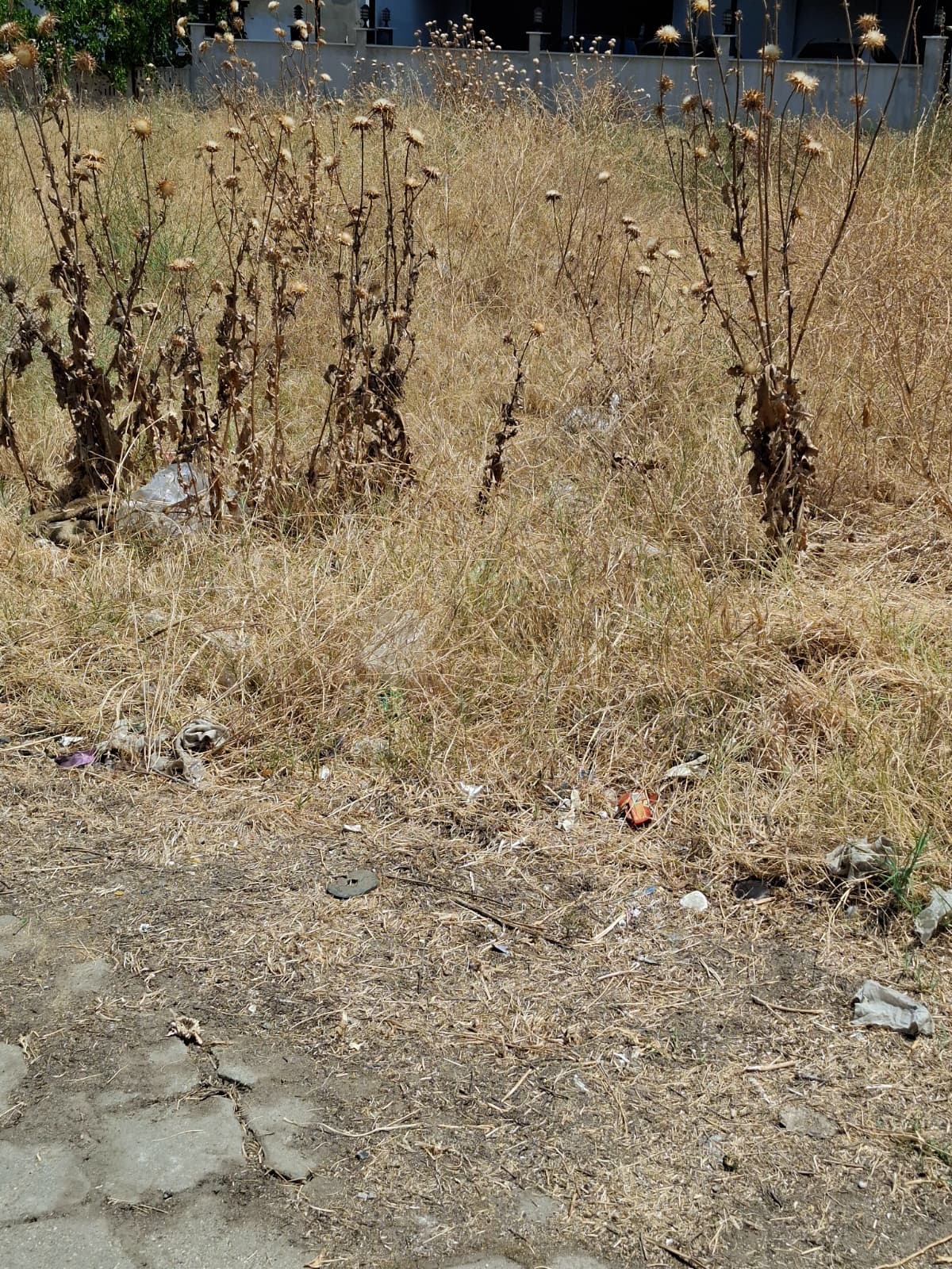 7082Bc53 A9Bd 4063 A65F 7368Ab863601