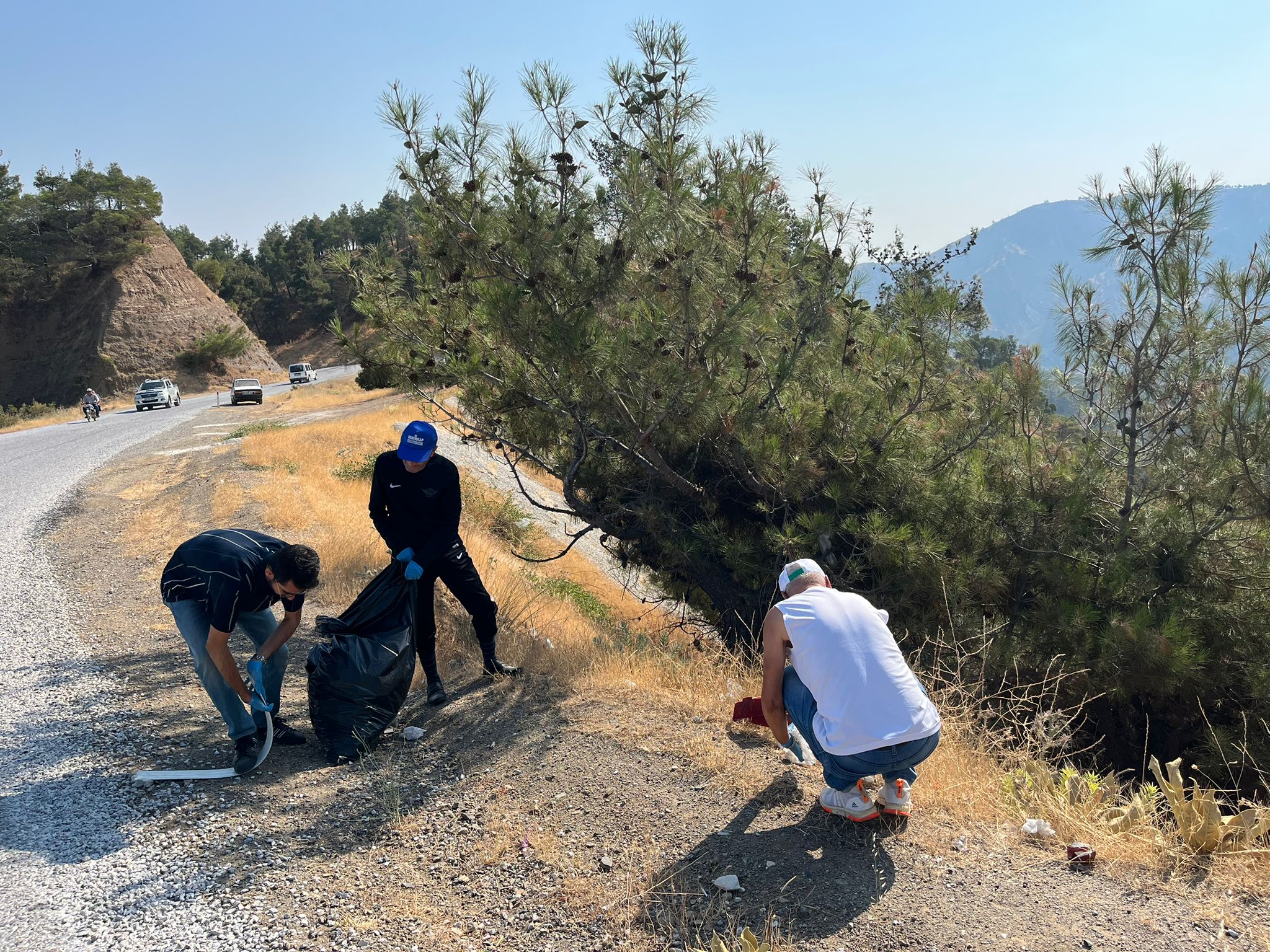 7Af70586 7Ef0 4181 Acee 7Ea430685Cfb