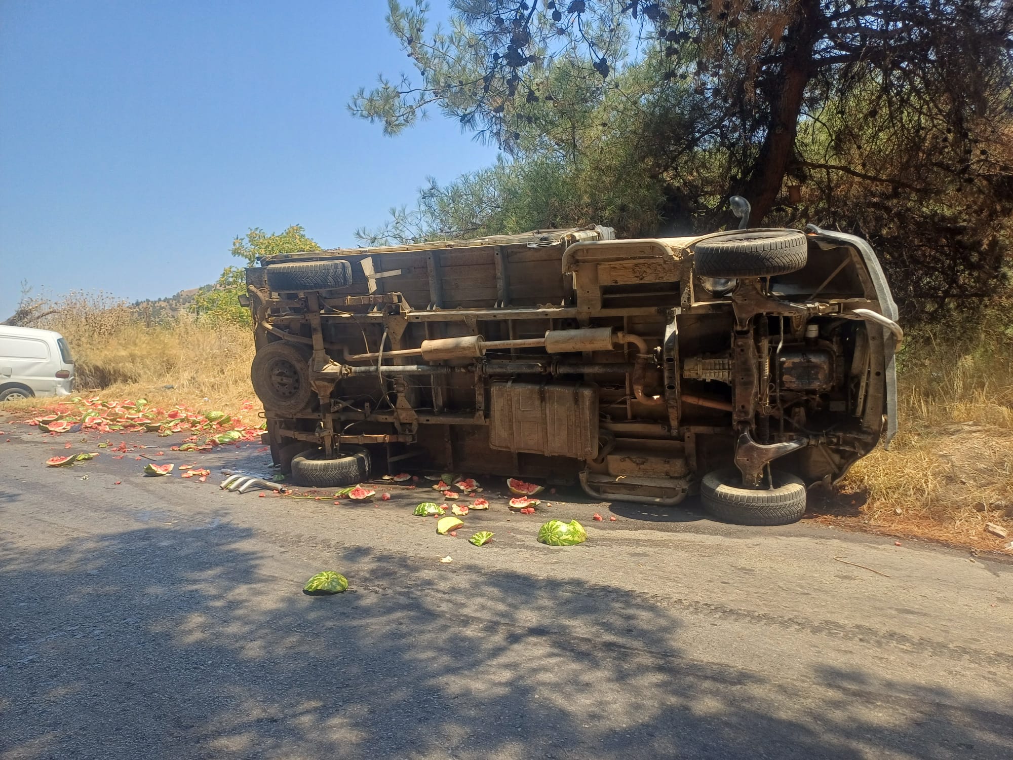 8B40C400 B23A 483D 8080 4Eb940Cb7236