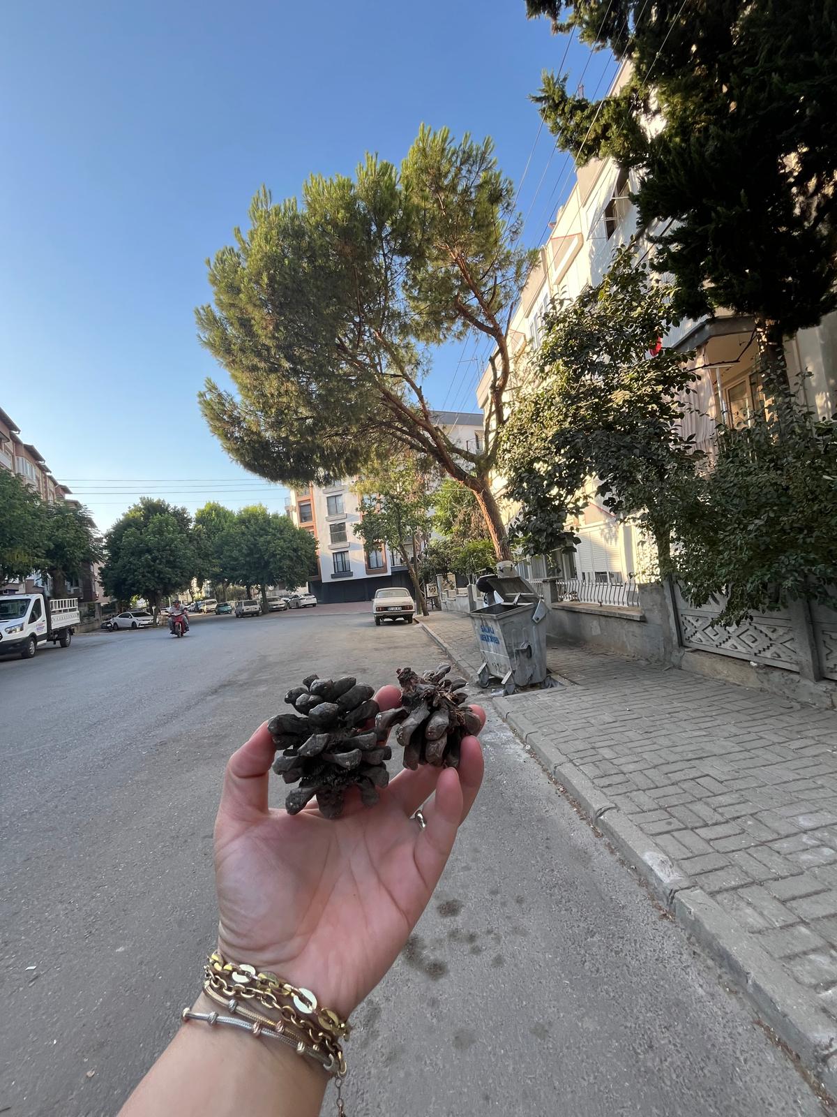 980B113D Adc2 4271 926B 4471Fd099Aae