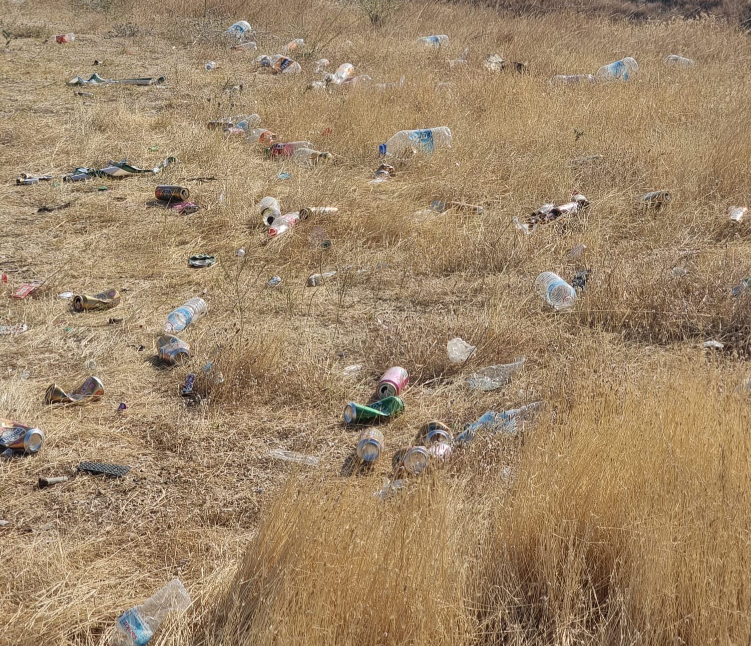 984254F3 2C7C 40F4 Bb72 E1D187791Dde