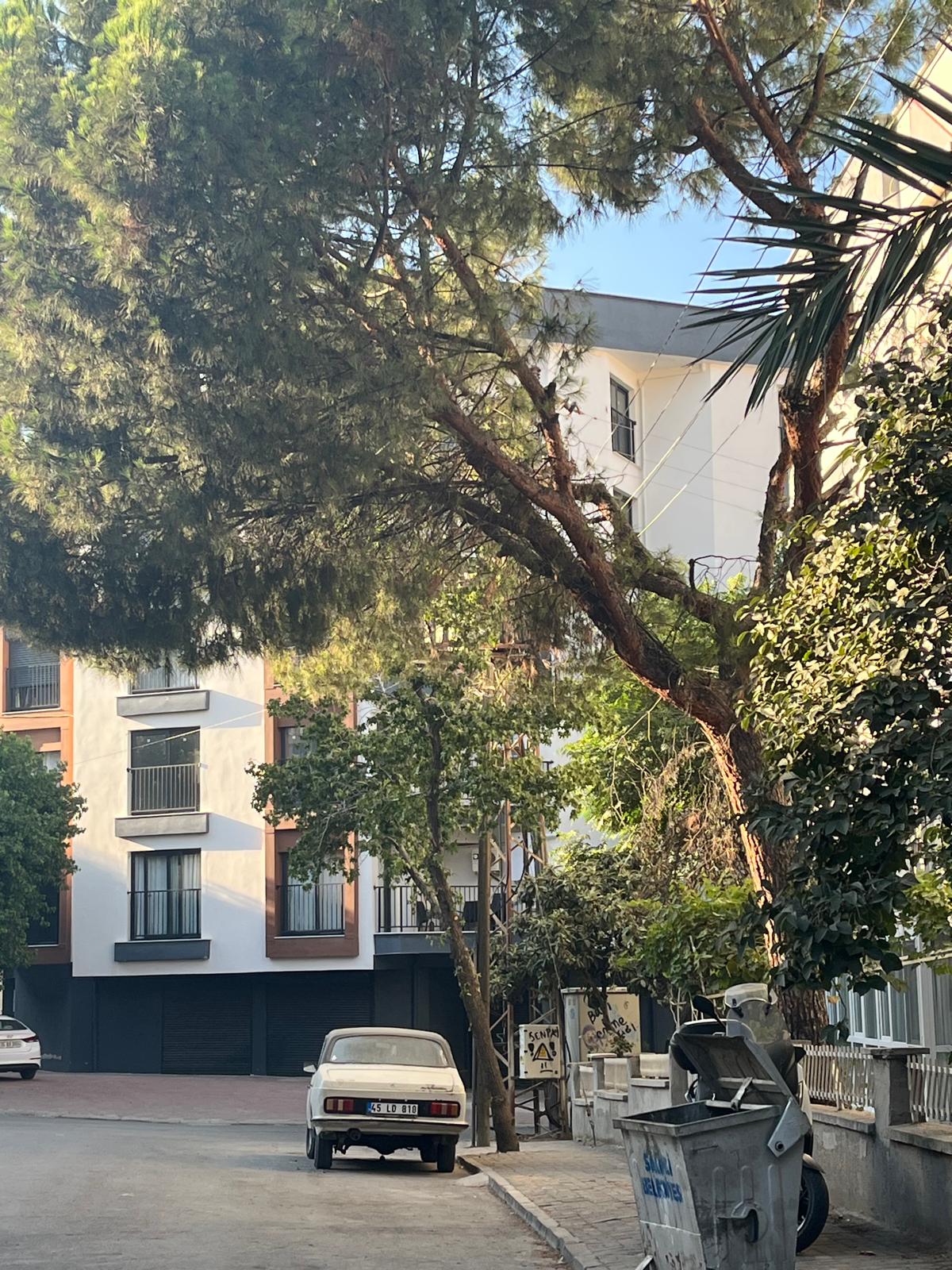 99916786 8F75 484F 82C1 A01822F3186E