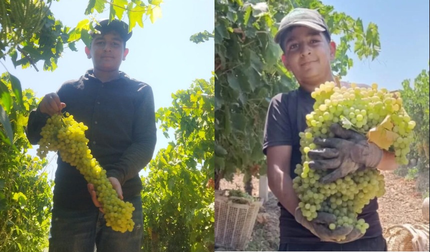 9A0Ff5A7 50A5 4Ebc B616 838Cf9694Ff8