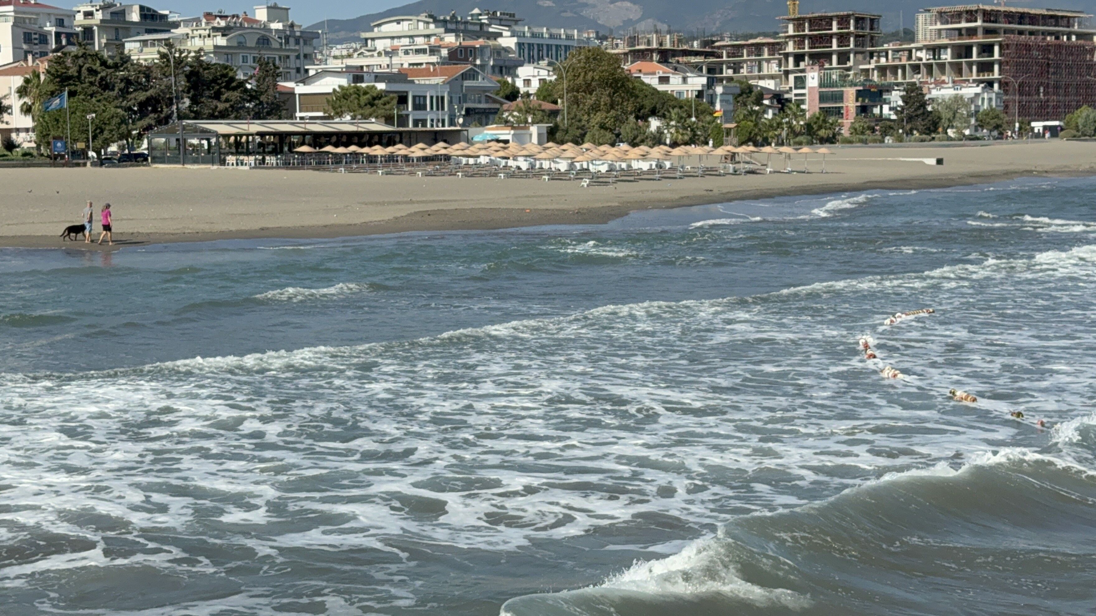 A W526259 06