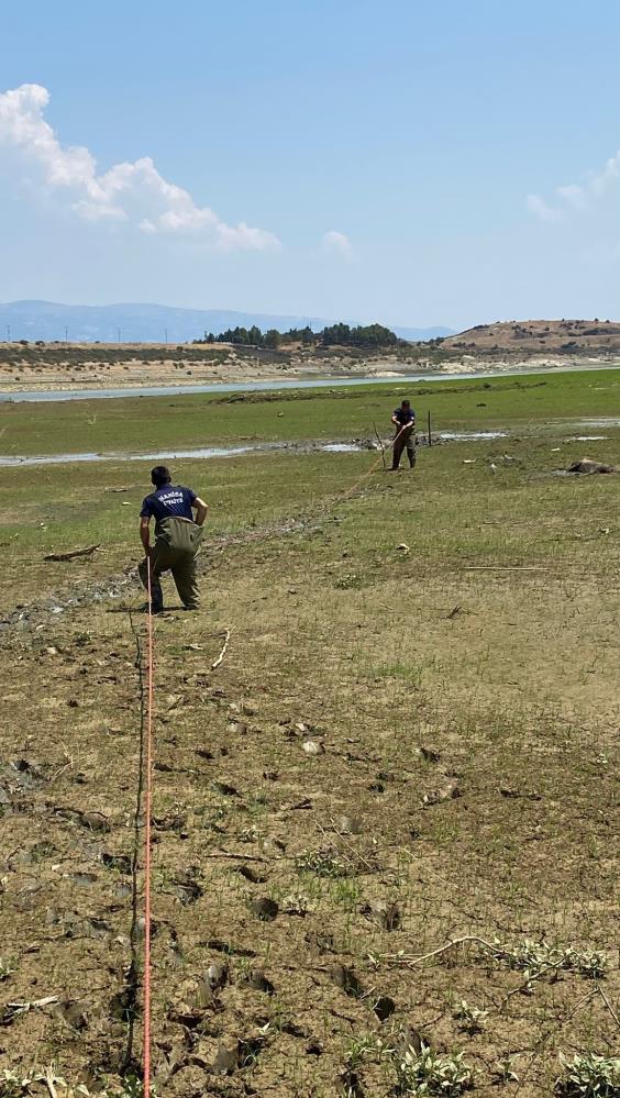Alaşehir Katır (5)